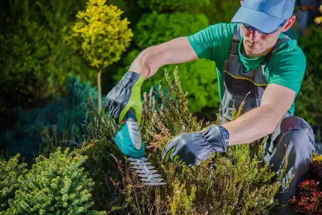 landscaping services Newburyport